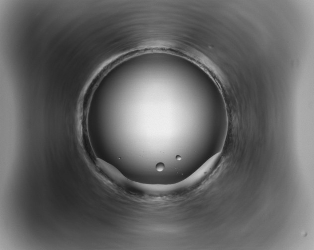 X0000099961124200805301308