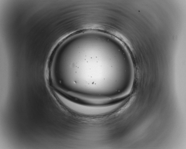 X0000099961125200805301308
