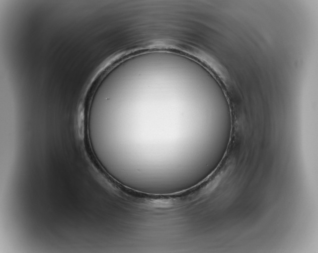 X0000099961126200805301308