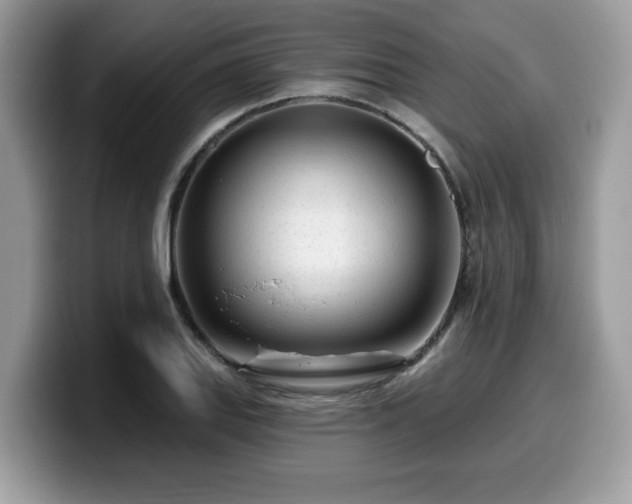 X0000099961127200805301308