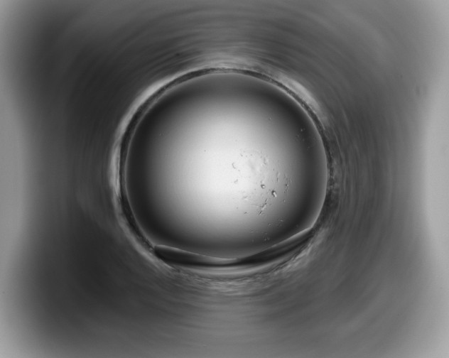 X0000099961128200805301308