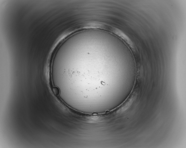X0000099961130200805301308