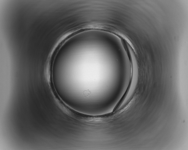 X0000099961131200805301308