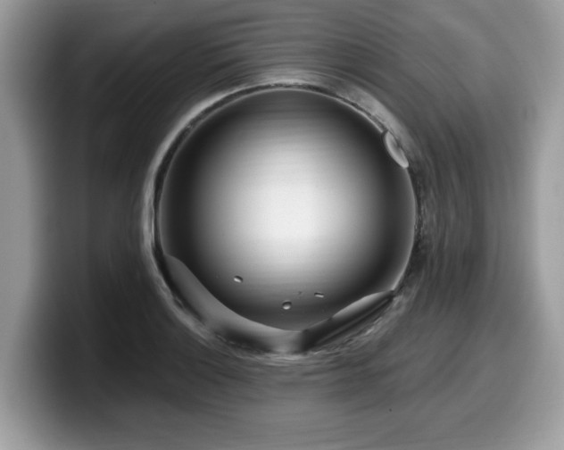 X0000099961132200805301308
