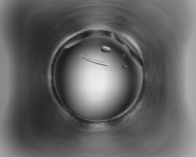 X0000099961133200805301308