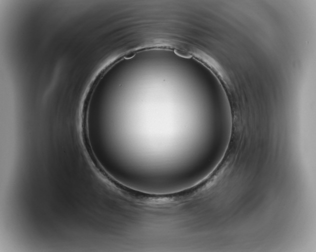 X0000099961135200805301309