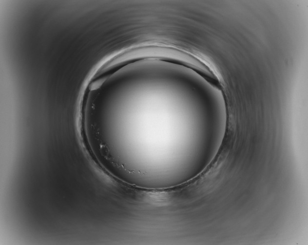 X0000099961136200805301309