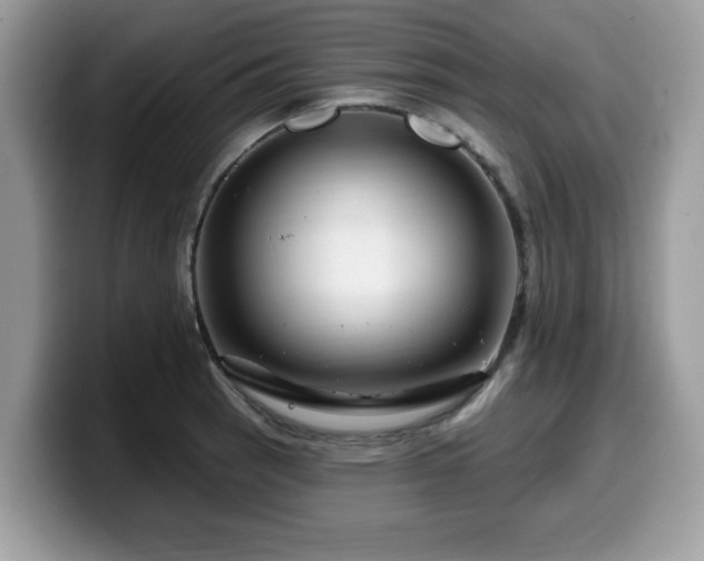 X0000099961137200805301309