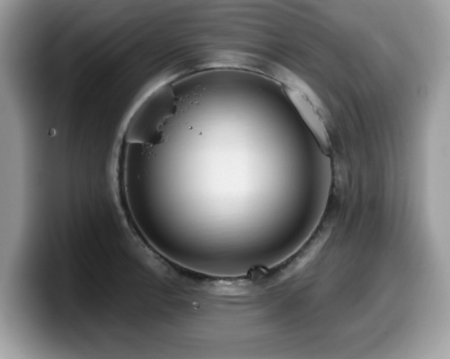 X0000099961138200805301309