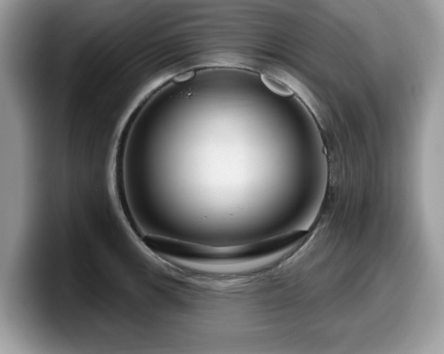 X0000099961139200805301309