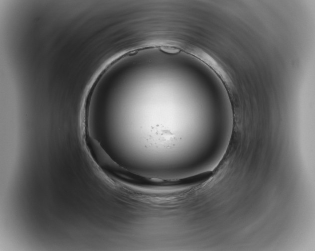 X0000099961140200805301309