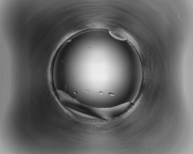 X0000099961141200805301309
