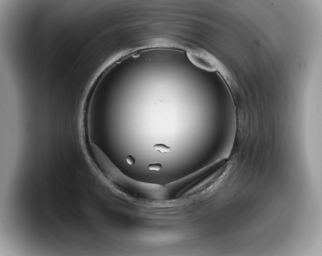 X0000099961142200805301309