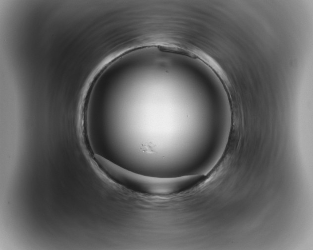 X0000099961144200805301309