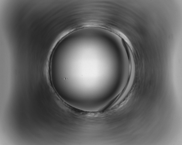 X0000099961146200805301309