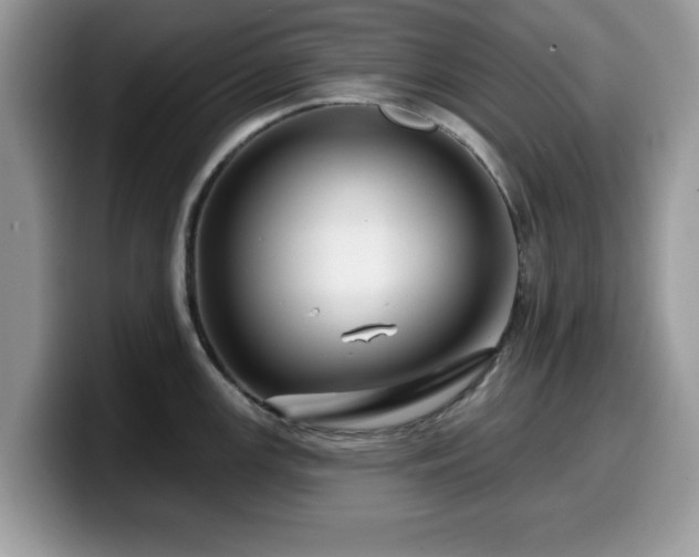 X0000099961147200805301309