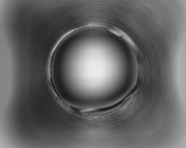 X0000099961148200805301309
