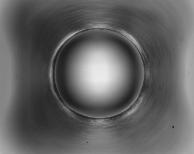X0000099961149200805301309
