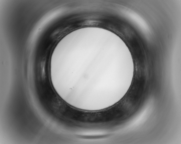 X0000099961150200805301309