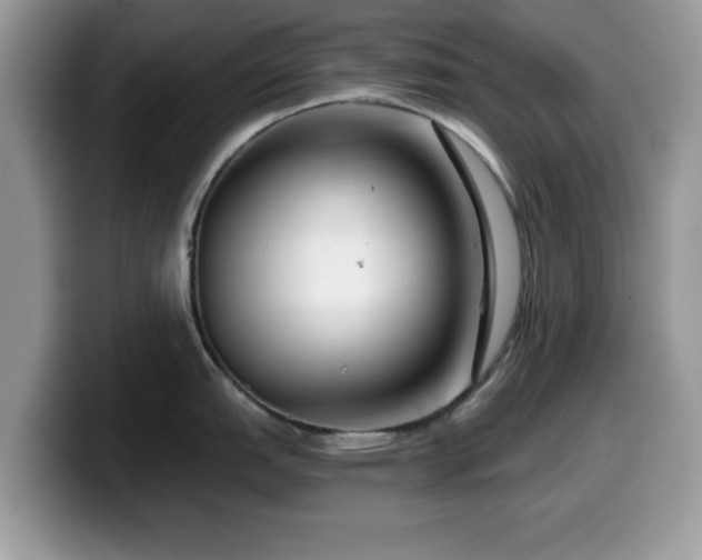 X0000099961151200805301309