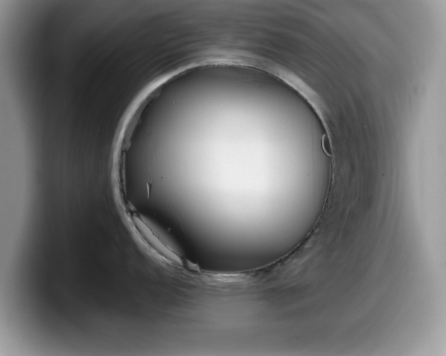 X0000099961152200805301309