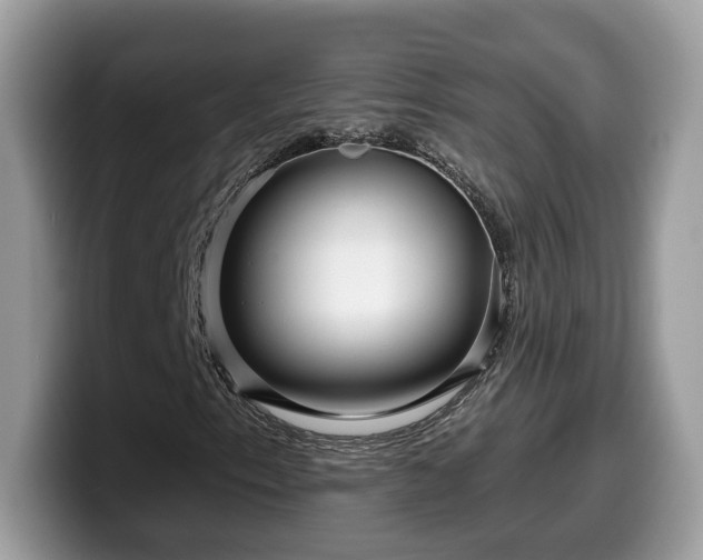X0000099961153200805301308