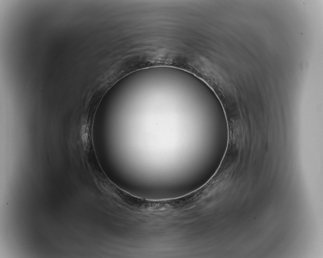 X0000099961154200805301308