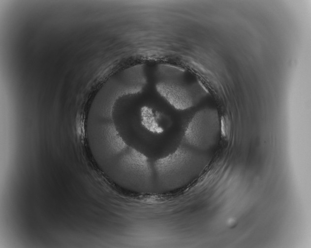X0000099961155200805301308