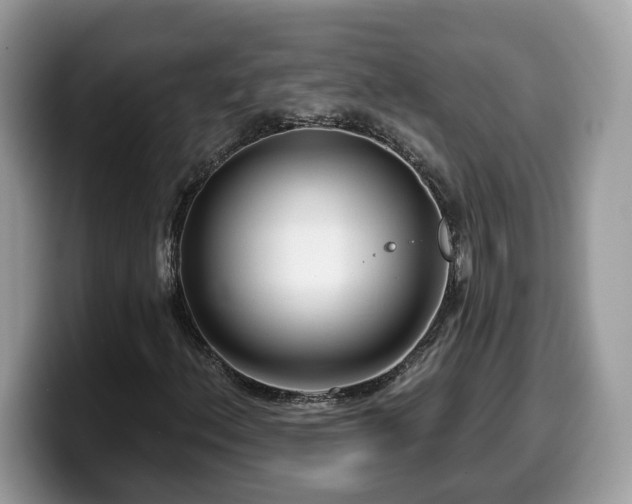 X0000099961156200805301308