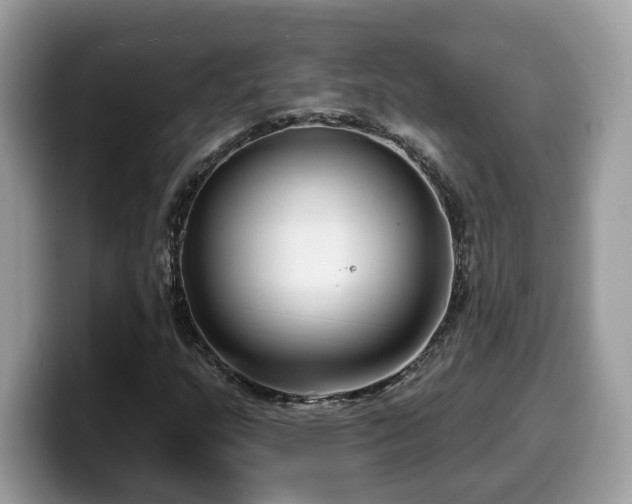 X0000099961159200805301308