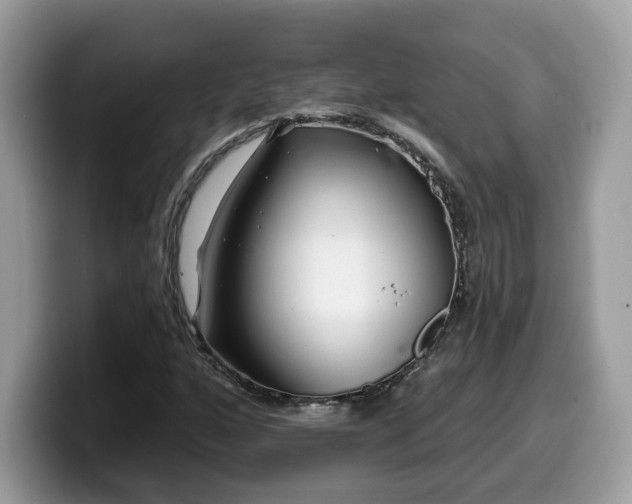 X0000099961160200805301308