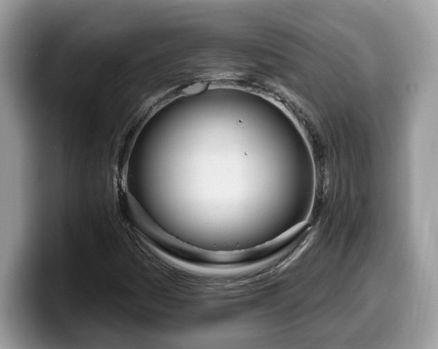 X0000099961161200805301308