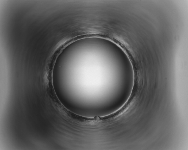 X0000099961163200805301308
