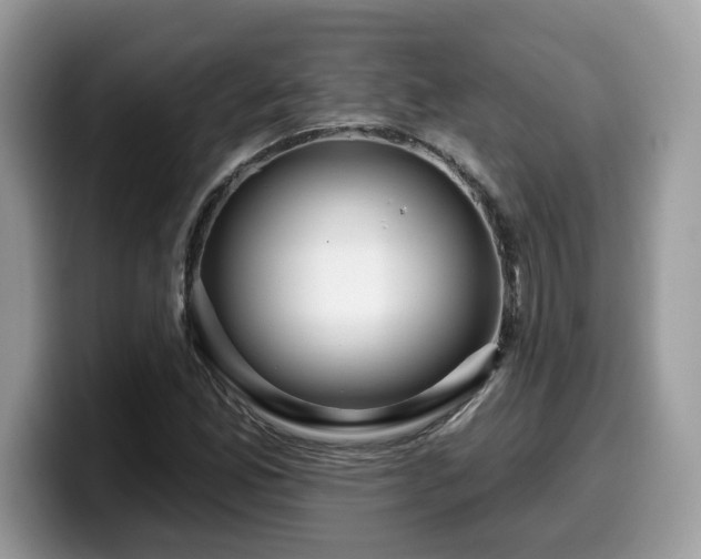 X0000099961165200805301308