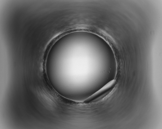 X0000099961166200805301308