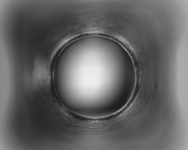 X0000099961167200805301308