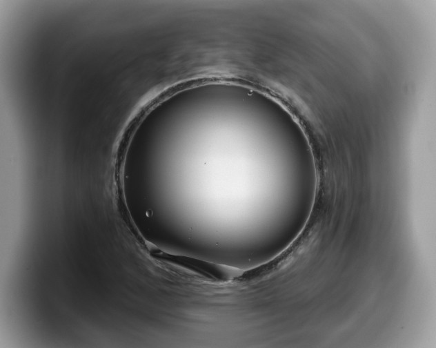 X0000099961168200805301308