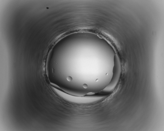 X0000099961169200805301308