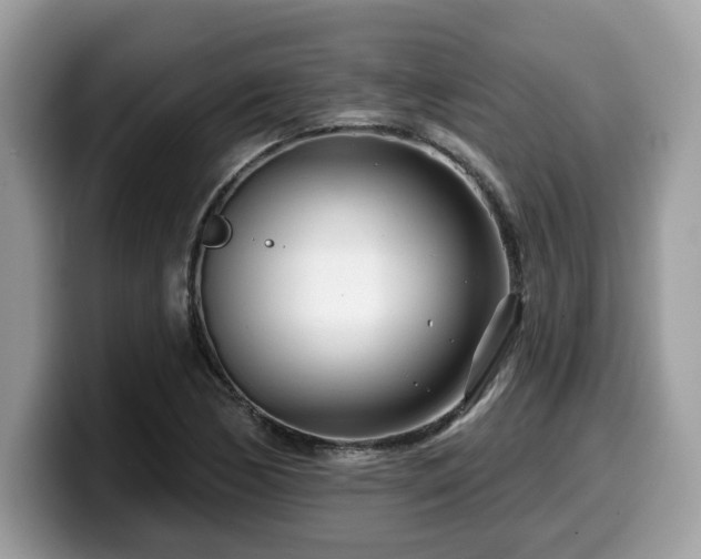 X0000099961170200805301308