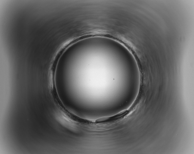 X0000099961171200805301308
