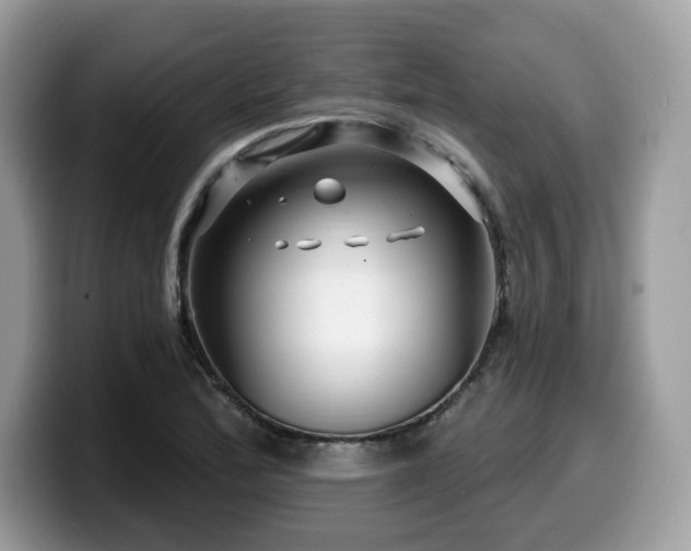 X0000099961172200805301308