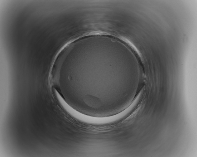 X0000099961173200805301308