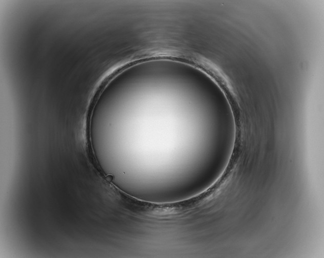 X0000099961174200805301308