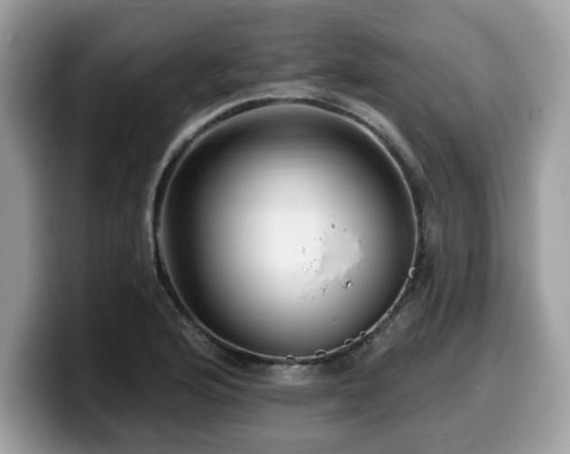 X0000099961176200805301308