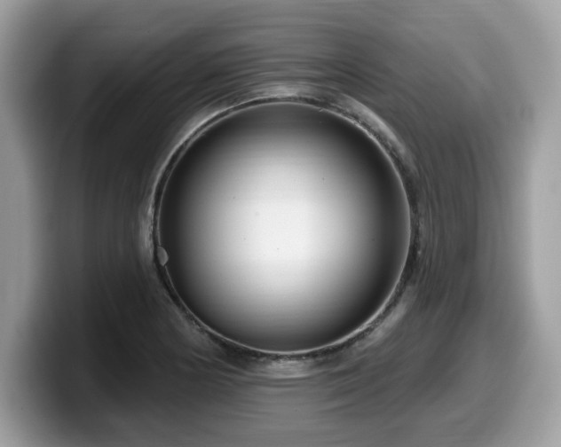 X0000099961178200805301308