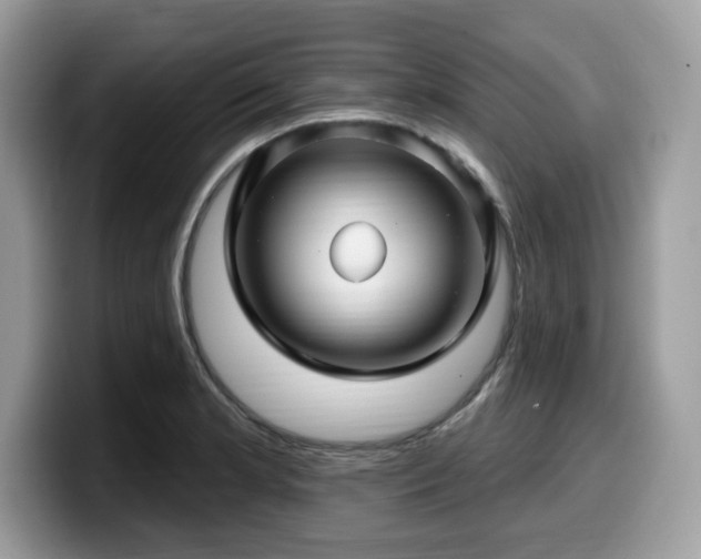 X0000099961181200805301308