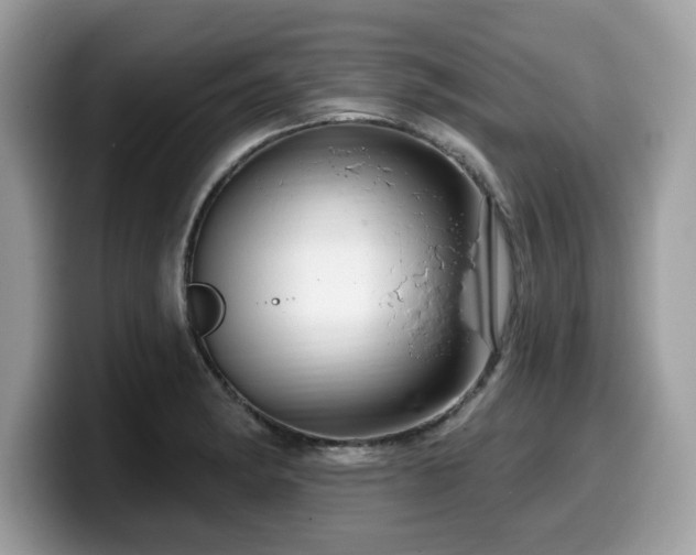 X0000099961182200805301308