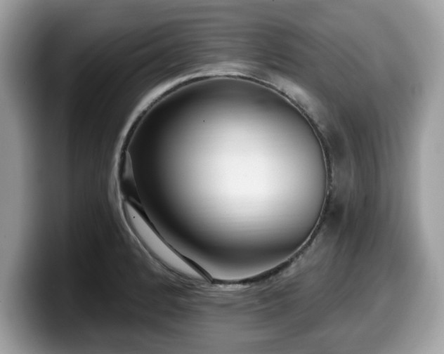X0000099961184200805301308