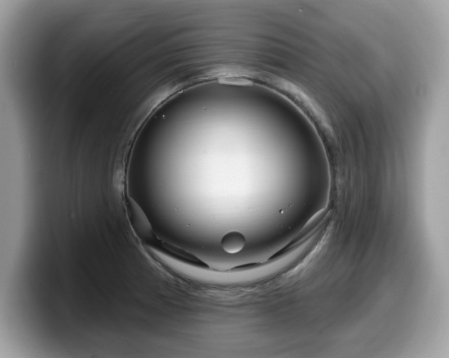 X0000099961185200805301308