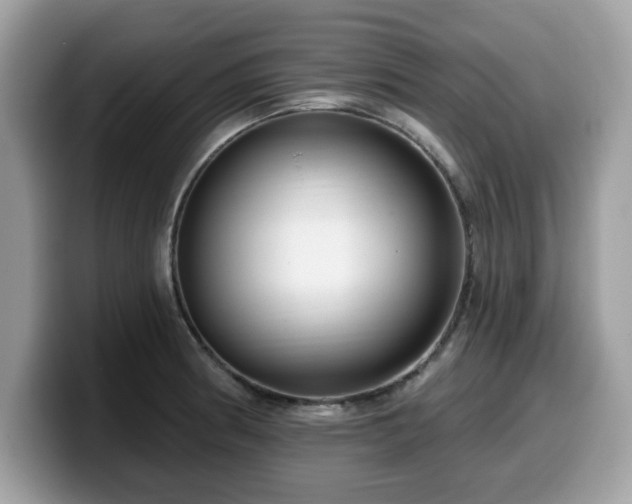 X0000099961186200805301308